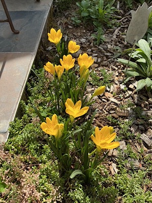 IMG_2409.jpeg