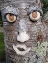 Avatar de l’utilisateur