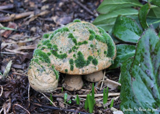 déco tortue.jpg