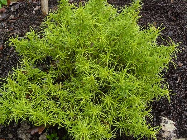 P1650144.JPG