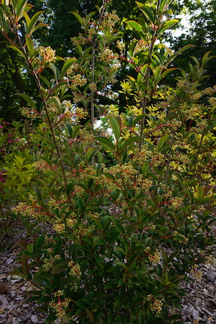 DSC05880.JPG