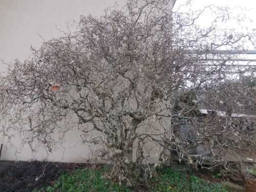 DSCN0861 - Copie2.JPG